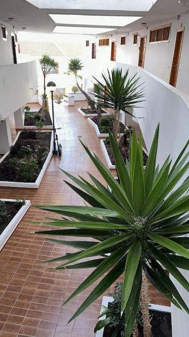 Ferienwohnung Modern,Strandnaehe, Club Olympus, Garten City Tenerife Playa Feñabe المظهر الخارجي الصورة